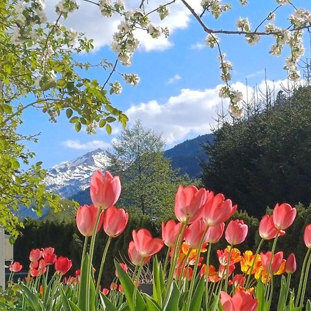 Naturhaus Andrea Grossarl Dış mekan fotoğraf