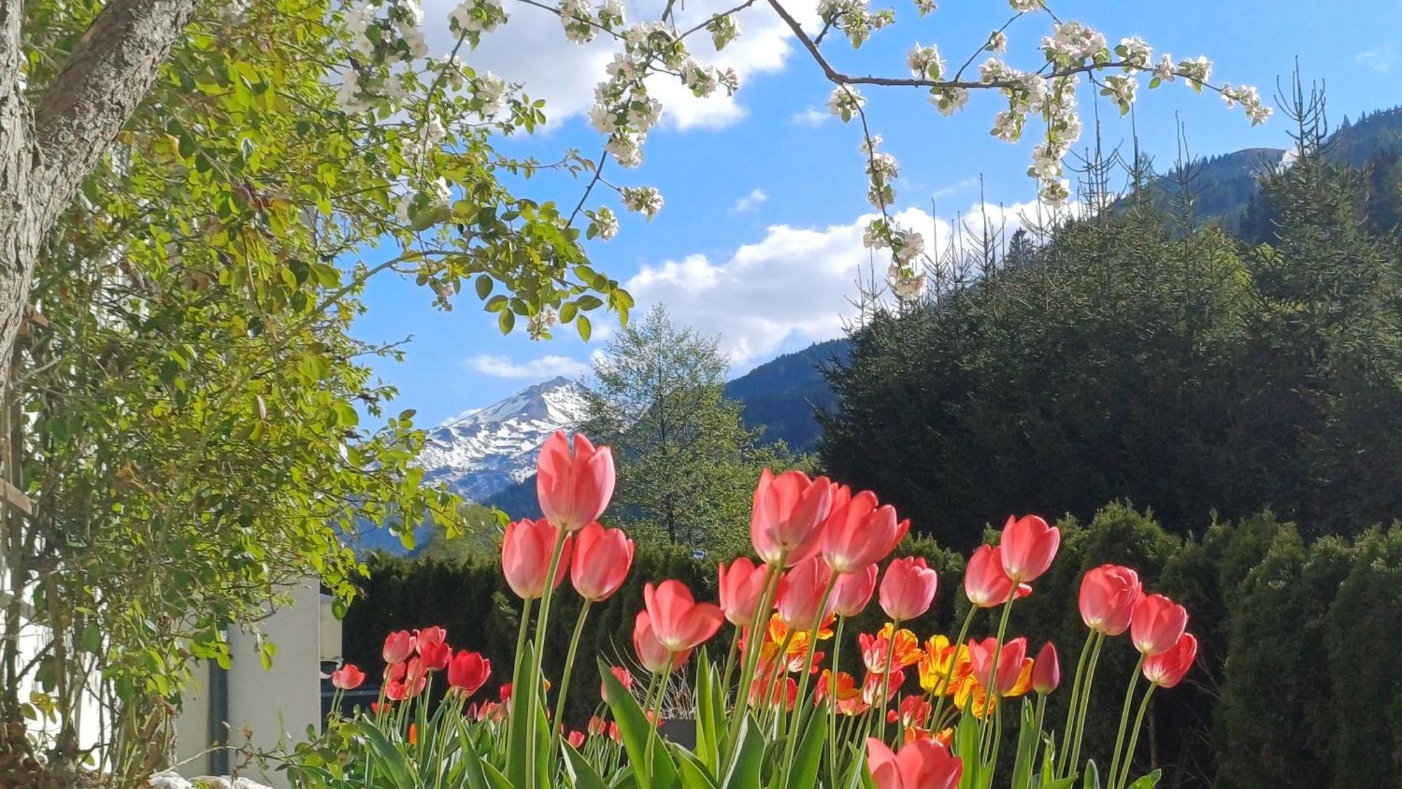 Naturhaus Andrea Grossarl Dış mekan fotoğraf