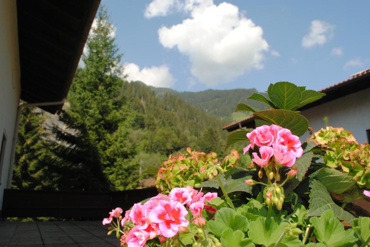 Naturhaus Andrea Grossarl Dış mekan fotoğraf
