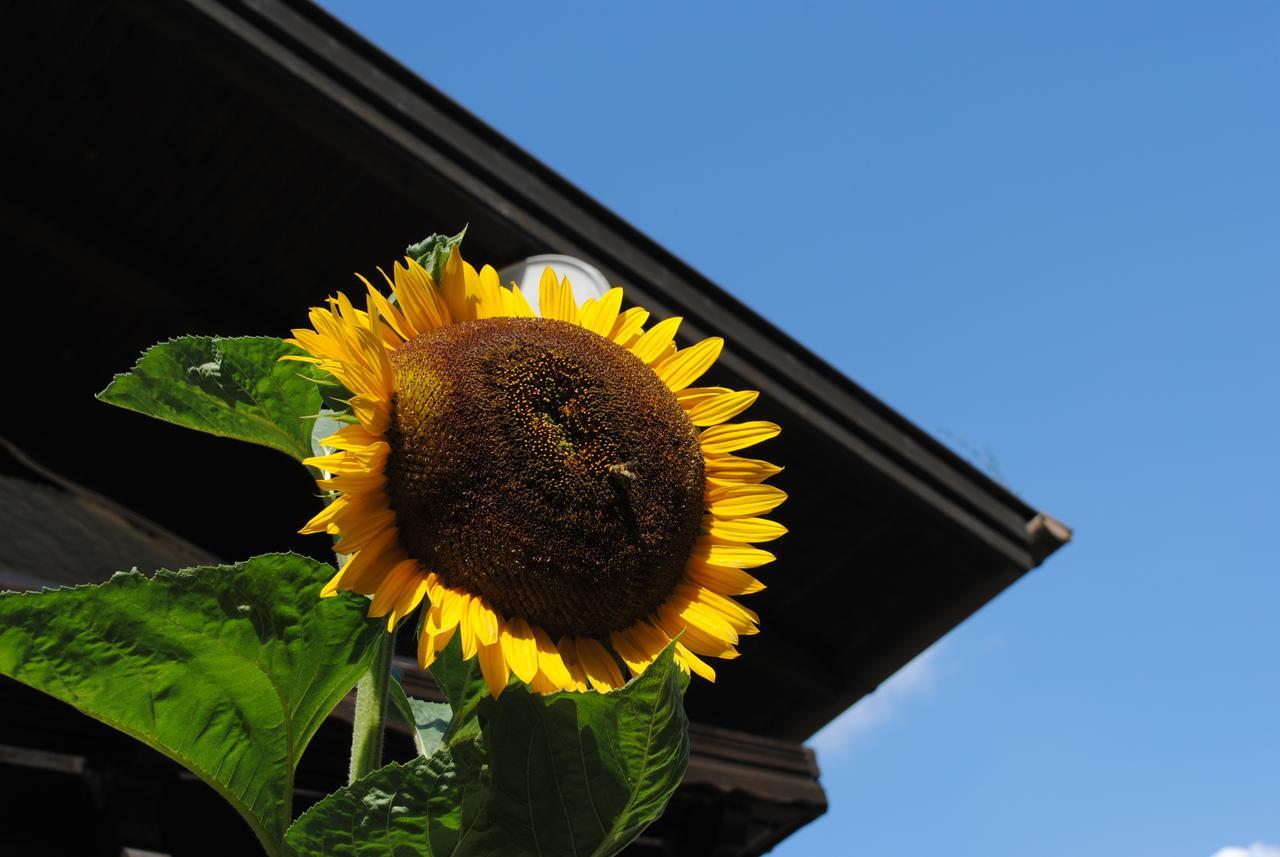 Naturhaus Andrea Grossarl Dış mekan fotoğraf